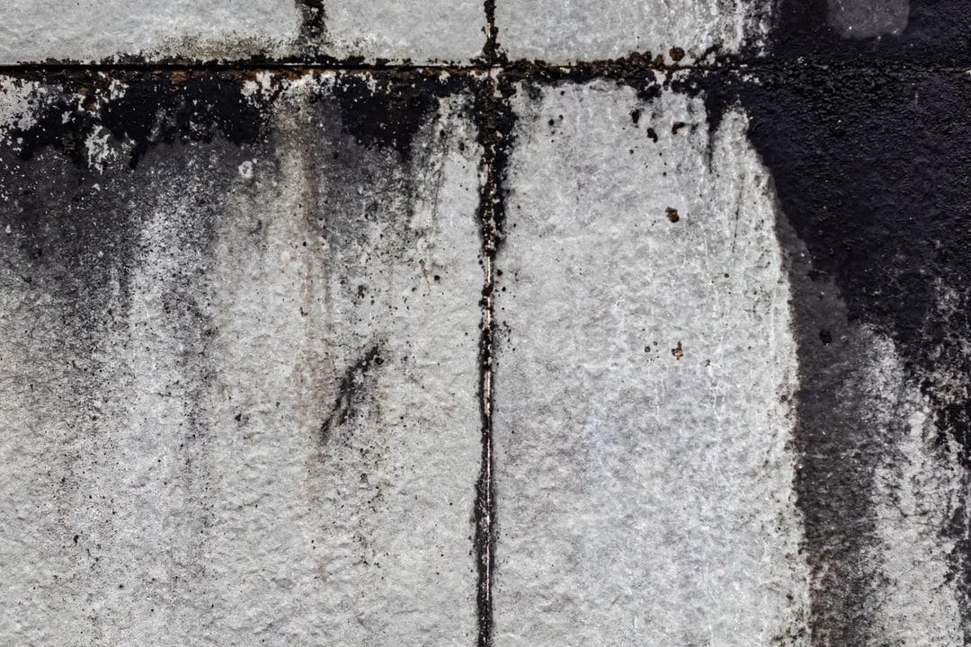 Rising Damp vs Condensation: How to Actually Tell the Difference (and Stop Paying for the Wrong Fix)