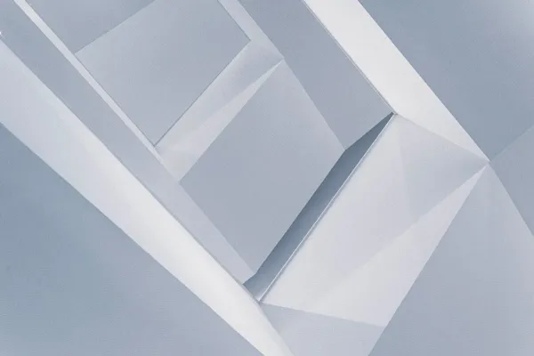 How to Build a Raised Garden Bed: From Design to First Harvest