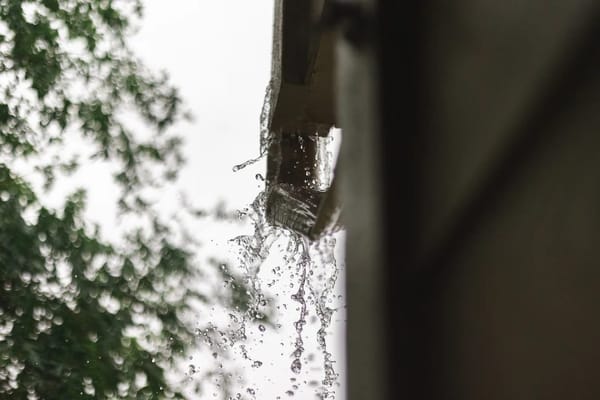 Clear Your Gutters Before the Leaves Fall: Cast Iron Rust, Cracked uPVC and the Real Cost of Getting It Wrong
