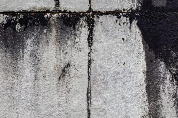 Rising Damp vs Condensation: How to Actually Tell the Difference (and Stop Paying for the Wrong Fix)
